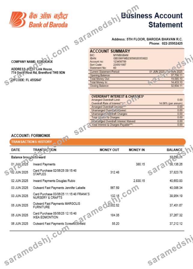 Bob Bank of Boroda bank organization checking account statement Word and PDF template